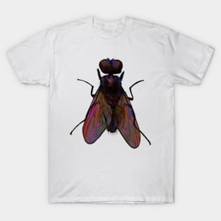 Fly T-Shirt